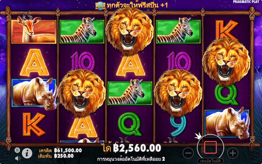 คุณสมบัติโบนัส SAFARI KING SLOT