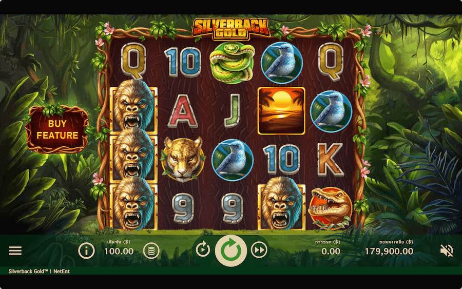 SILVERBACK GOLD SLOT ธีม, การจ่ายเงิน & สัญลักษณ์ต่างๆ