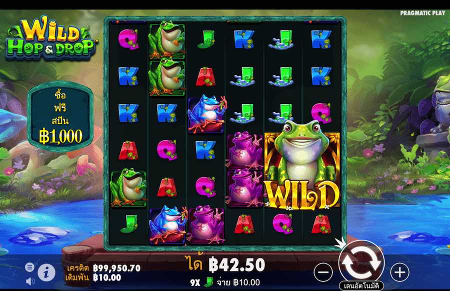 WILD HOP AND DROP SLOT คุณสมบัติของเกมพื้นฐาน